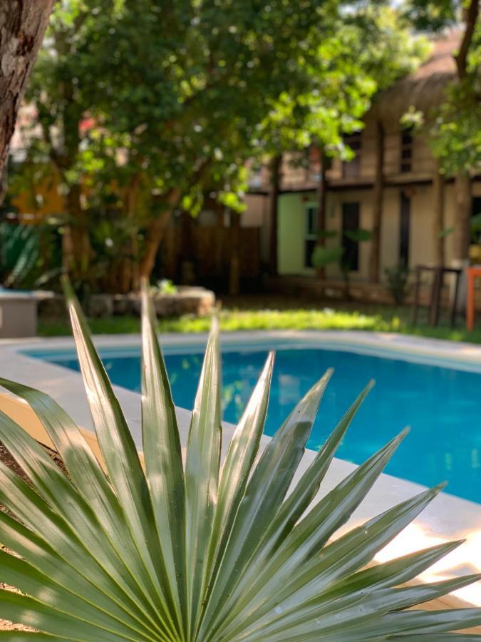 Ammare Hotel Boutique Playa del Carmen Exterior photo